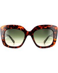 Ted Baker - Cat Eye Double Champagne Demi Gradient Tb1675 Hattie - Lyst