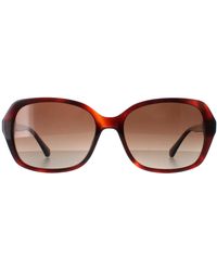 Kate Spade - Buttefly Havana Gradient Polarized Yvette/S - Lyst