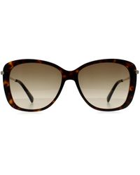 Longchamp - Butterfly Havana Gradient Lo616S - Lyst