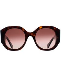 Chloé - Chloé Round Dark Havana Gradient Ch0234S - Lyst