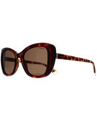 Polaroid - Sunglasses Pld 4132/S 086 Sp Havana Bronze Polarized - Lyst