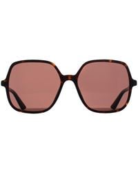 Chloé - Chloé Square Dark Havana Ch0362S - Lyst