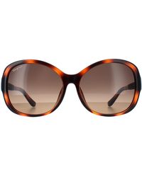 Ferragamo - Butterfly Tortoise Gradient Sf744Sla - Lyst