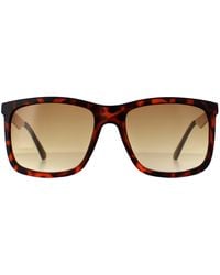 Guess - Rectangle Dark Havana Gradient Gf0171 - Lyst