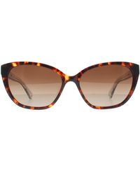 Kate Spade - Cat Eye Havana Gradient Polarized Philippa/G/S - Lyst