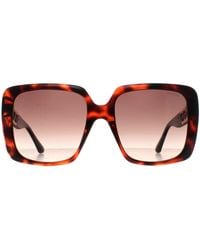 Guess - Square Dark Havana Gradient Gu7689 - Lyst