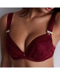 Aubade - Burgundy Magnetic Spell Push-Up Bra - Lyst