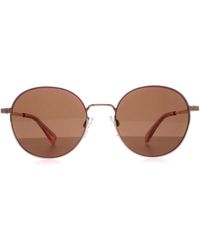 Ted Baker - Sunglasses Tb1679 Willa 401 Rose - Lyst