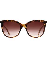 Calvin Klein - Cat Eye Dark Tortoise Gradient Ck23500S - Lyst