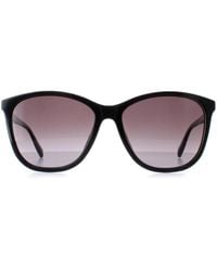 Ted Baker - Sunglasses Tb1646 Delfi 001 Gloss Gradient - Lyst