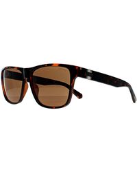 Guess - Sunglasses Gf5120 52E Dark Havana - Lyst