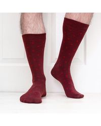 Jemsox - Small Spot Pattern Comfort Top Cotton Socks - Lyst
