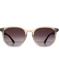 Ted Baker - Sunglasses Tb1655 Dock 901 Transparent And Havana Gradient - Lyst