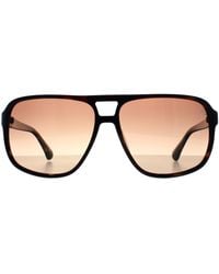 Timberland - Aviator Dark Havana Polarized Tb00031 - Lyst