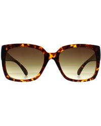 Calvin Klein - Square Shiny Havana Gradient Ck22549S - Lyst