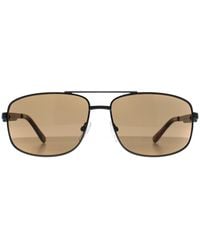 Calvin Klein - Rectangle Ruthenium Ck22123S - Lyst