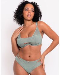 Scantilly - Peep Show Deep Plunge Bra Sage - Lyst