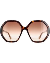 Chloé - Chloé Round Dark Havana And Crystal Gradient Ch0008S Esther - Lyst