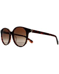 Kate Spade - Round Havana Gradient Eliza/F/S - Lyst