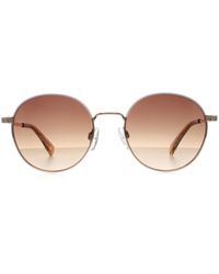Ted Baker - Sunglasses Tb1679 Willa 449 Gradient - Lyst