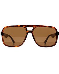 Guess - Aviator Dark Havana Gf5125 - Lyst