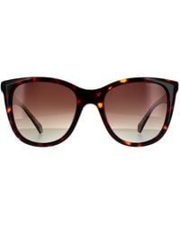 Polaroid - Square Havana Gradient Polarized - Lyst