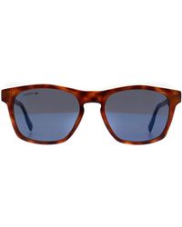 Lacoste - Sunglasses L988S 240 Tortoise - Lyst