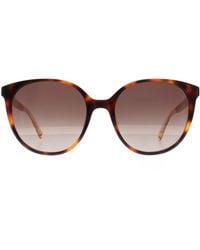 Kate Spade - Oval Havana Gradient Kimberlyn/G/S - Lyst