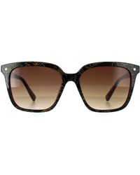 Ted Baker - Square Double Champagne Demi Gradient Tb1676 Ramona - Lyst