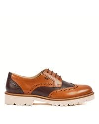Pod - Tan Kortney Brogues - Lyst