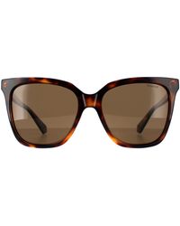 Polaroid - Square Havana Bronze Polarized Pld 4155/S/X - Lyst