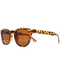 Montana - Sunglasses Mp191 B Shiny Turtle Polarized - Lyst