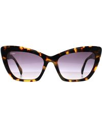 Max Mara - Cat Eye Coloured Havana Smoke Gradient Mm0063 Logo14 - Lyst