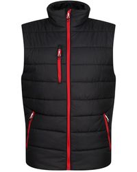 Regatta - Body Warmer Polyester/Classic - Lyst