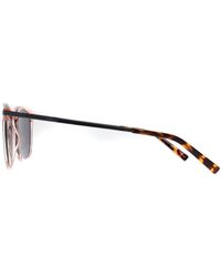 Ted Baker - Sunglasses Tb1633 Cove 200 Transparent Light - Lyst