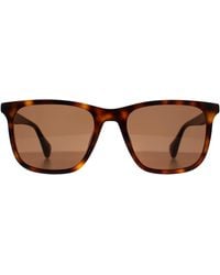 Ted Baker - Square Gloss Dark Tortoise Tb1724 Jacobe - Lyst