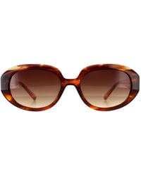 Ted Baker - Oval Horn Gradient Tb1689 Penny - Lyst