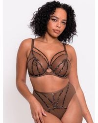 Scantilly - Senses Plunge Bra Leopard - Lyst
