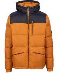 Trespass - Down Jacket Erris Polyamide Ginger - Lyst