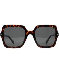 Polaroid - Square Havana Polarized Pld 4165/S/X - Lyst