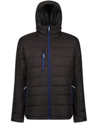 Regatta - Padded Jacket Polyester/New Royal - Lyst