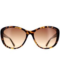 Calvin Klein - Cat Eye Tortoise Gradient Ck19560S - Lyst