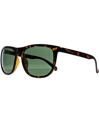 Calvin Klein - Square Shiny Havana Ck22557S - Lyst