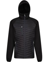 Regatta - Hybrid Jacket Polyester/Seal - Lyst
