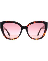 Max Mara - Cat Eye Havana Bordeaux Gradient Mm0040 Logo 11 - Lyst