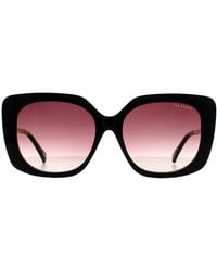 Ted Baker - Square Gradient Tb1732 Heather Sunglasses - Lyst