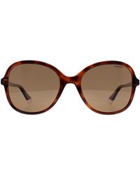 Polaroid - Sunglasses Pld 4136/S 086 Sp Havana Bronze Polarized - Lyst