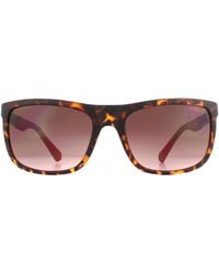 Guess - Rectangle Dark Havana Gradient Sunglasses - Lyst