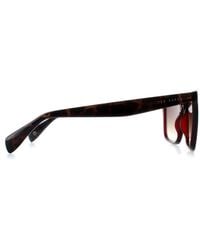 Ted Baker - Sunglasses Tb1680 Filipe 249 Crystal Dark Wine Gradient - Lyst