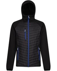 Regatta - Hybrid Jacket Polyester/New Royal - Lyst